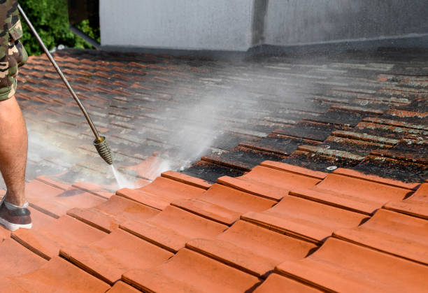 Best Fence Pressure Washing  in Port Angeles, WA